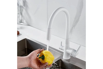  / SHEVANIK      S668C