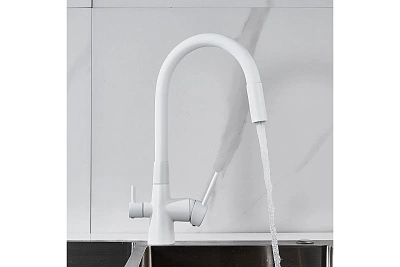  / SHEVANIK      S668C