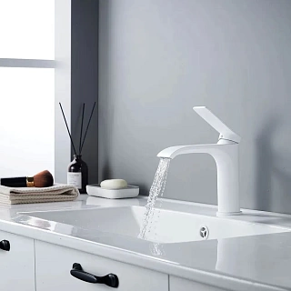  / SHEVANIK  . S4101C