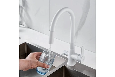  / SHEVANIK      S668C