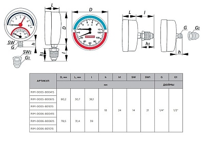  0...6 bar 0...120' C  .  Dn 80 1/2" (RIM-0005-800615)  