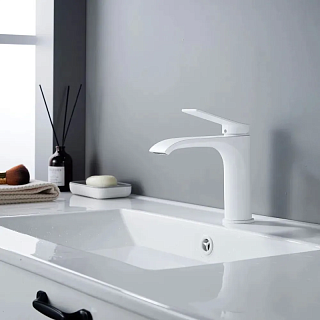  / SHEVANIK  . S4101C