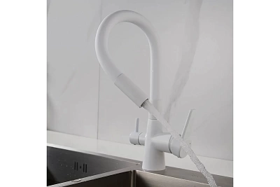  / SHEVANIK      S668C